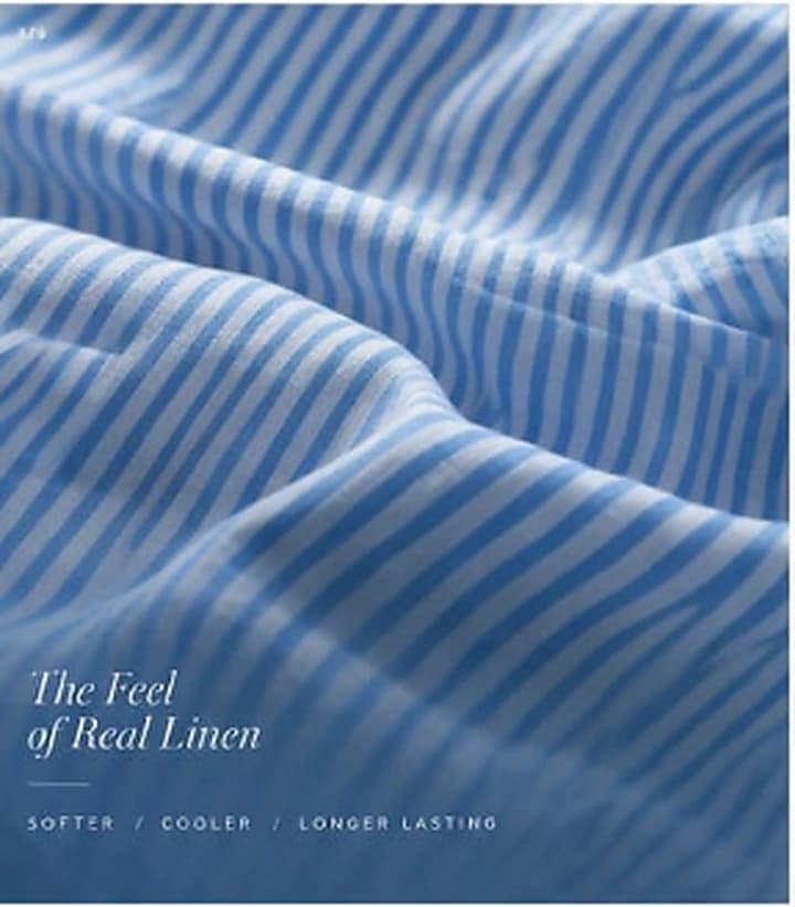 Blue Lining Striped Linen Shirt thumbnail 4